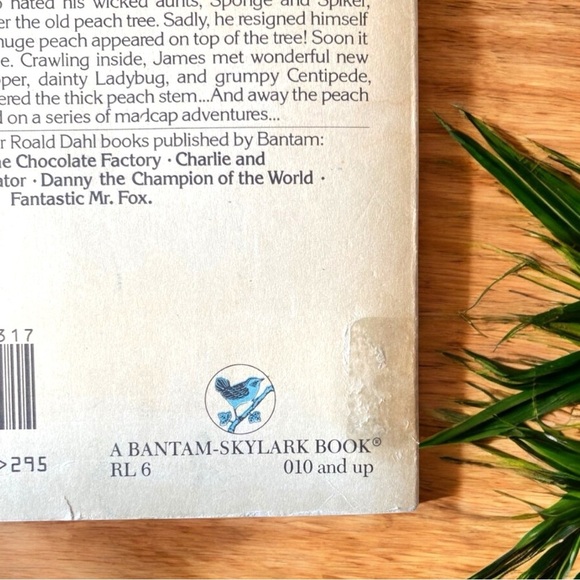 VINTAGE 1980 James and the Giant Peach by Roald Dahl | Bantam Skylark Paperback - Picture 8 of 13